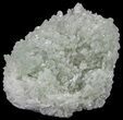 Green Prehnite Crystal Cluster - Morocco #52274-2